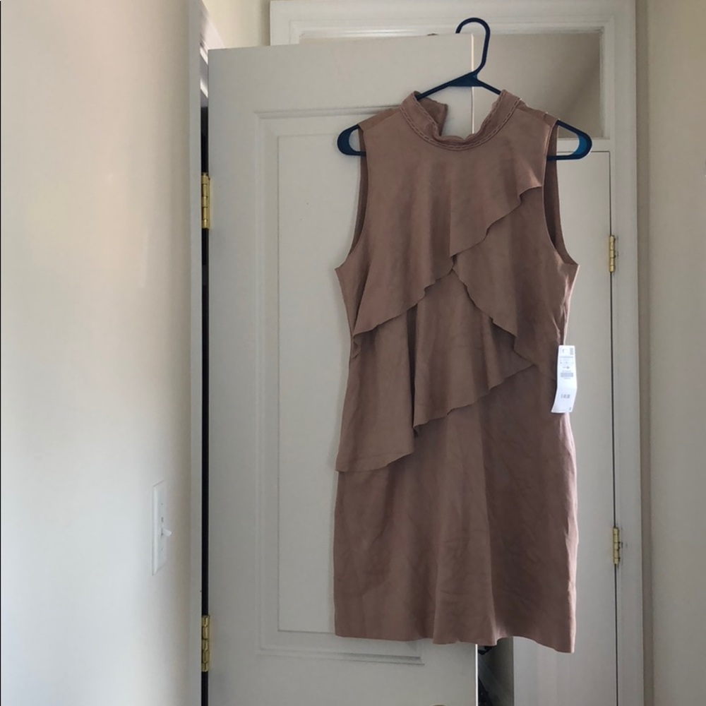 Zara pink/nude-ish suede dress
